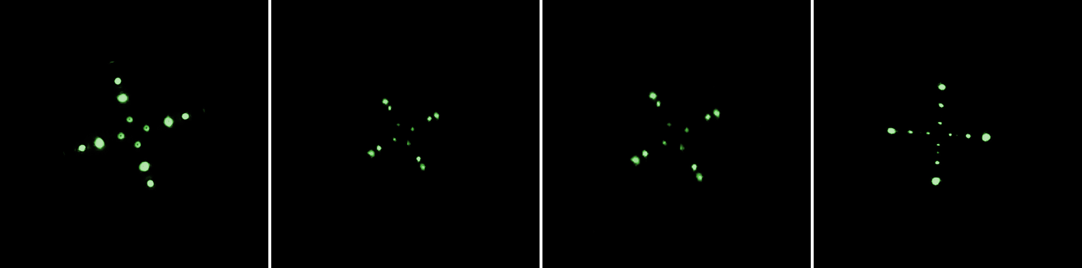 REEGO test apo rifrattori collimazione